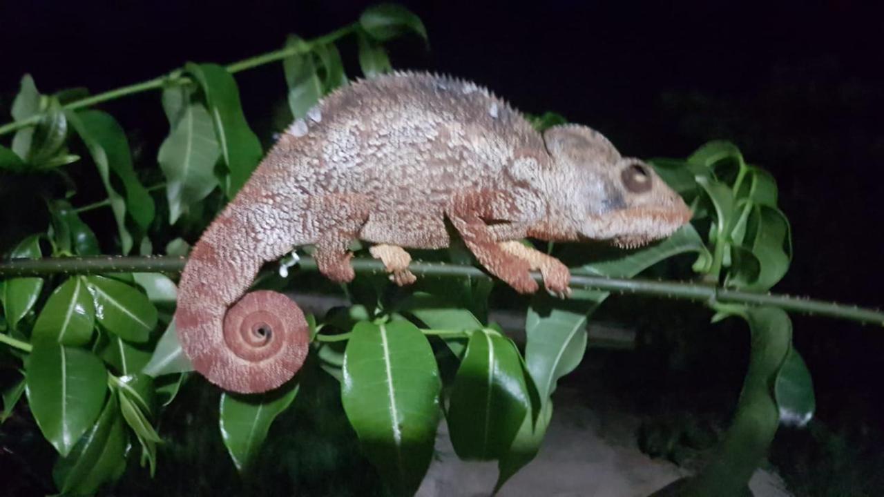 Sanjeela-Plage Coco Antsiranana Экстерьер фото